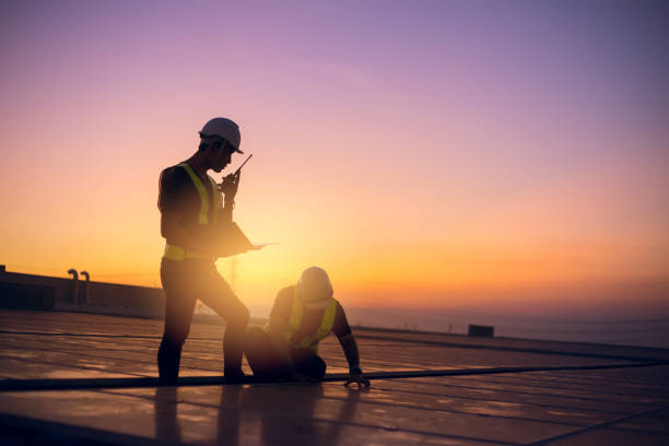 Best Sheet Metal Roofing  in Walcott, IA